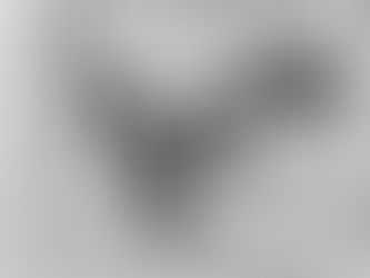 Francis Danforth Marston John Greenleaf Whittier’s True Barefoot Boy