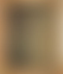 Tintype Samuel Woods Luitwieler Civil War Soldier