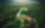 4736719 copy.jpeg