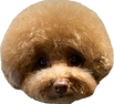 thumbnail_被写体 (21).png
