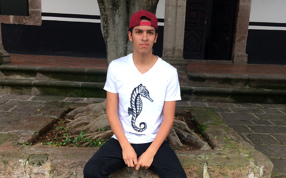 Hippocampus