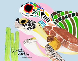 tortuga