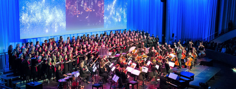 IMG_9474_quer cut.jpg