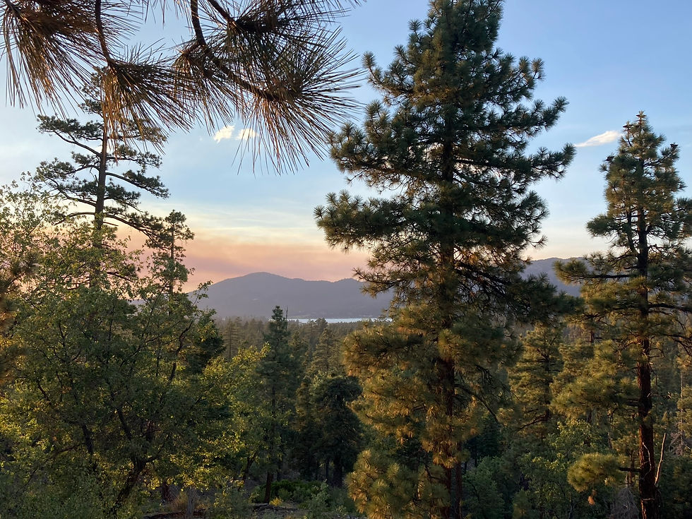 Meteor Shower 💫 in Big Bear