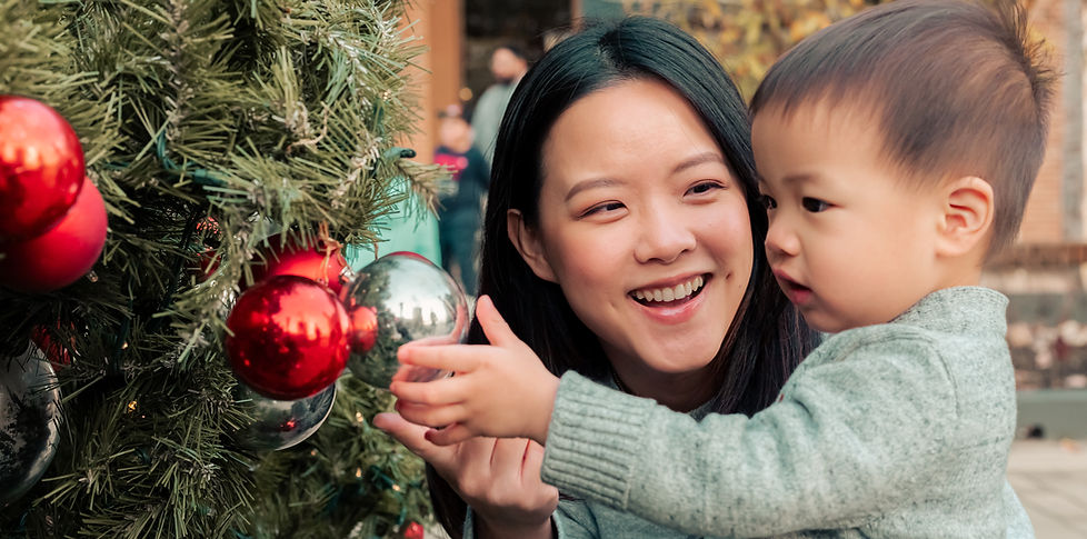 Washington DC family photographer Christmas family photoshoot Serving Washington DC Maryland and Northern Virginia 