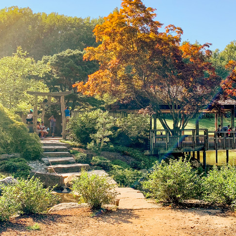 ouples photos Brookside Gardens Wheaton Maryland DMV Huen Photography