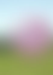 Holding tight to the string of a kite