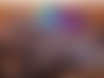 New Year's Eve International Gala at the Omni Shoreham Hotel