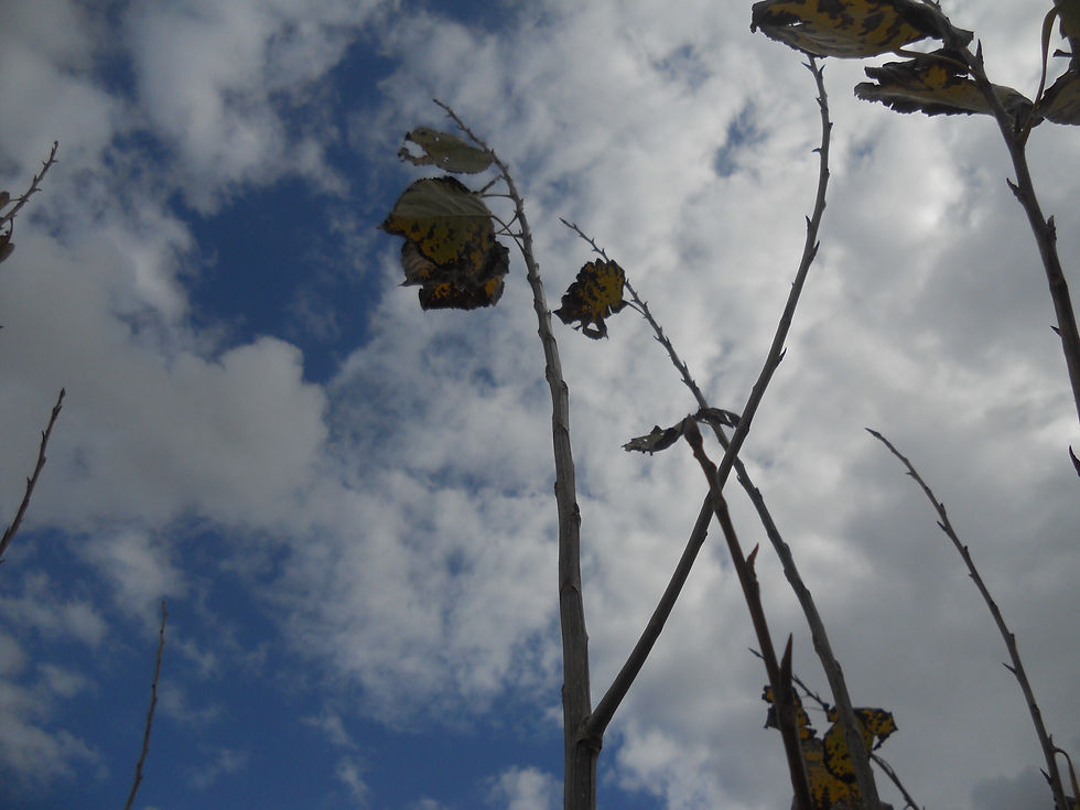 Insight צילומים משתתפי הסדנאות