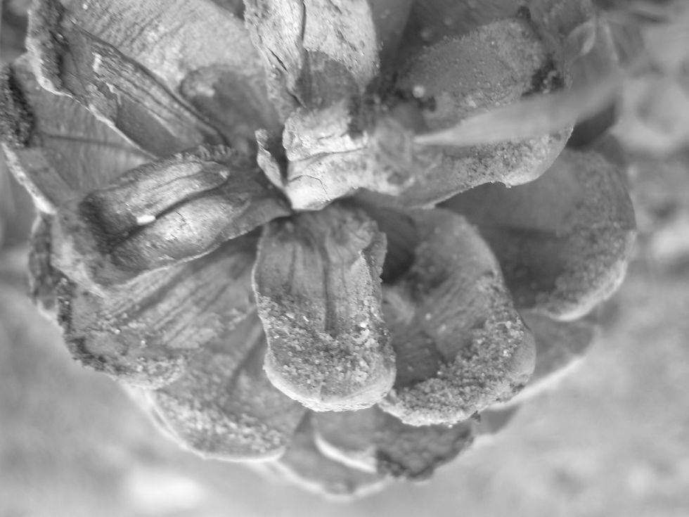 Insight צילומים משתתפי הסדנאות