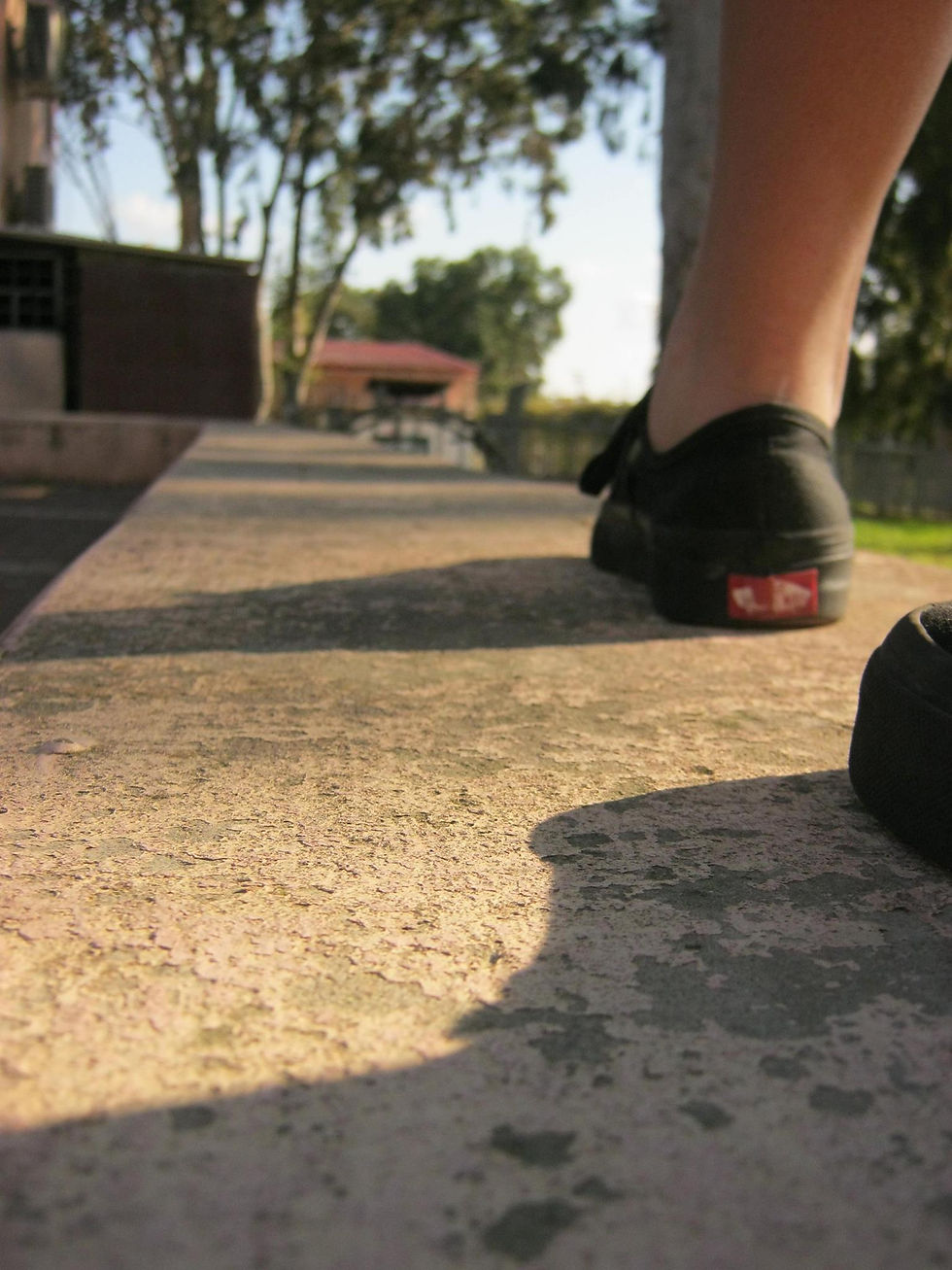 "בדרך להגשמת השאיפות שלי"