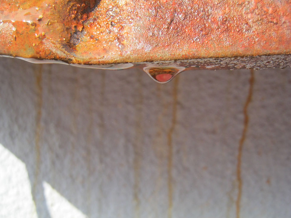 Insight צילומים משתתפי הסדנאות