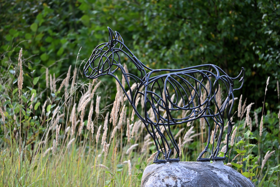 Södra Lillängen,Up on its own