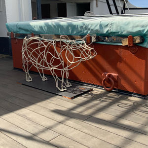 Pigs of Pommern