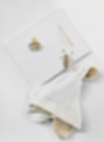 Elegantna knjiga radosnica za bebu, dizajnirana kao uspomena na prve trenutke