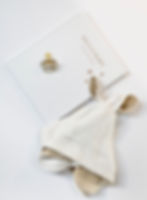 Minimalistička radosnica s ilustracijama i prostorom za bilješke i fotografije. Knjiga za prve uspomene.