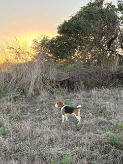 564098104_836621995595689_1442522395216742458_n