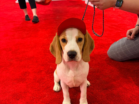 Looking ahead to 2027