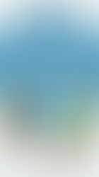 parabenização pelo dia do aposentado