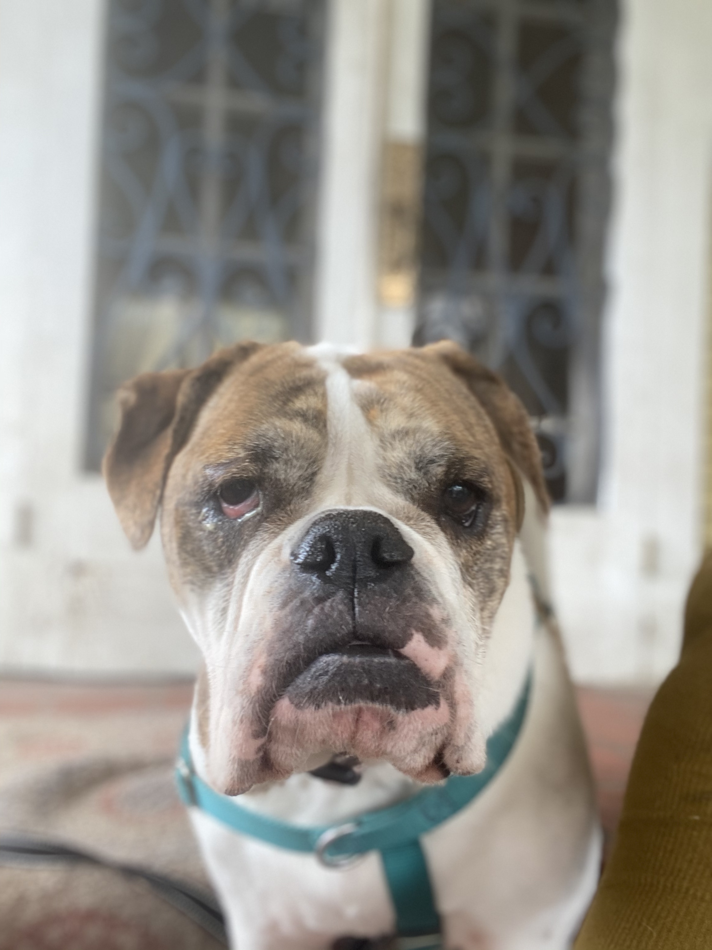 Maggie