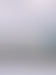 冬期休診は12/28日(日曜)~1/4(日曜)になります