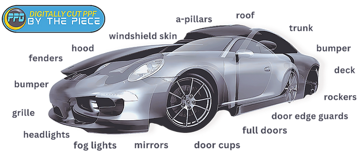 digitally cut ppf at PPD_edited_edited_e