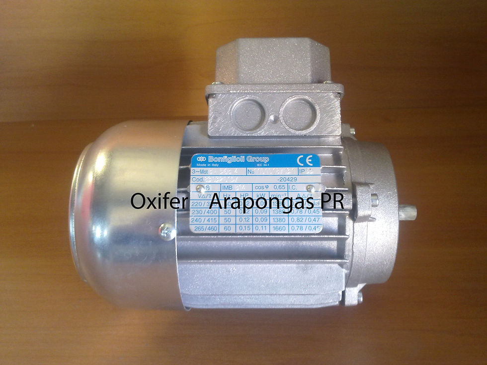 Motor elétrico Bonfiglioli