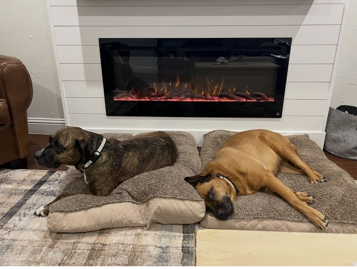 Two dogs relaxing by the fireplace