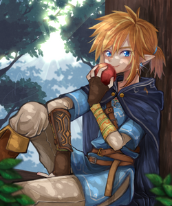 【その他】リンクさん