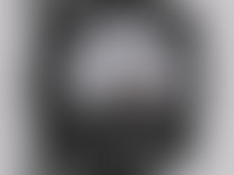 Understanding the Investor Fear Index: the VIX