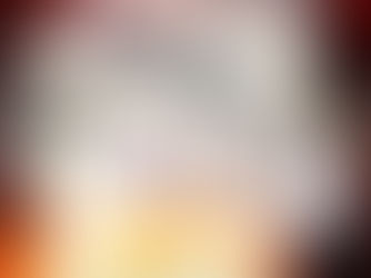 Stocks and Bonds Before and After Taxes