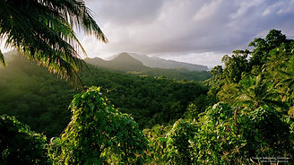Dominica Scene.jpg