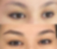 Nano Brows