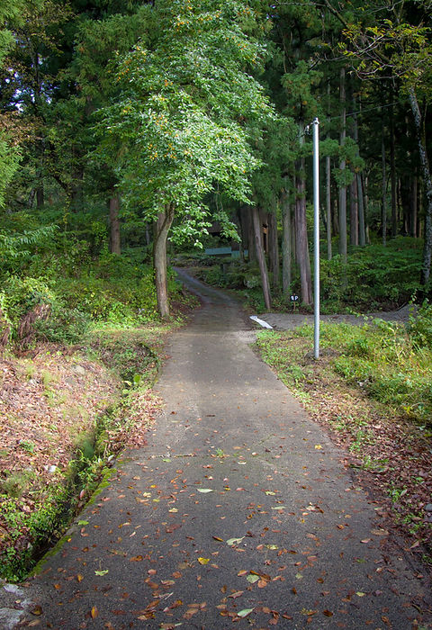 _RYU2911-2.jpg