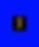 liv dead blk back 2025 2 blue border.png