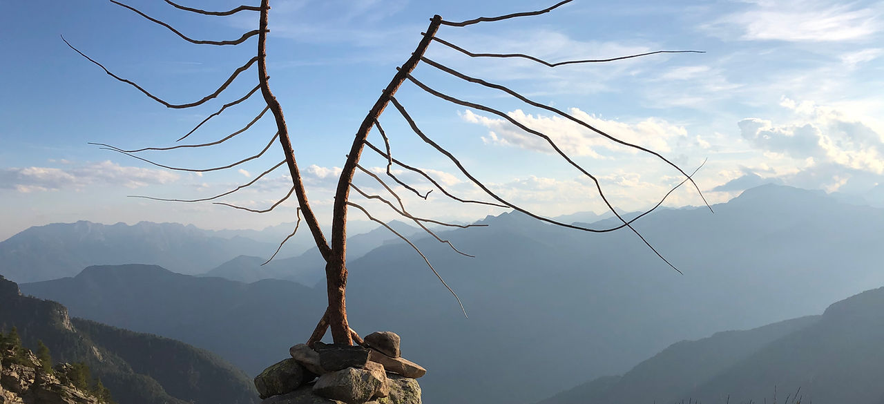 Kari-Joller-Wind-Baum-Original.jpeg