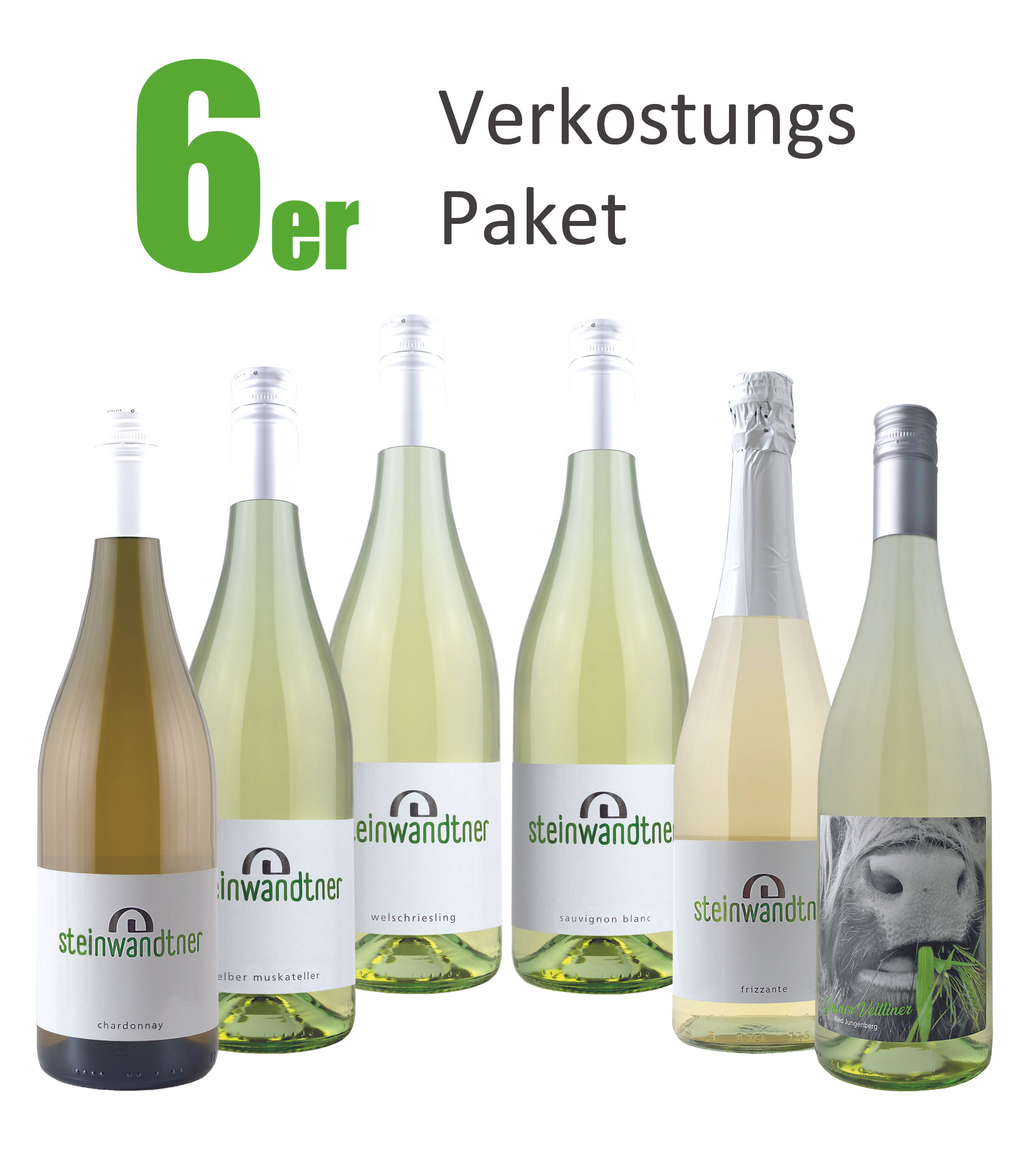 6er Verkostungspaket weiß
