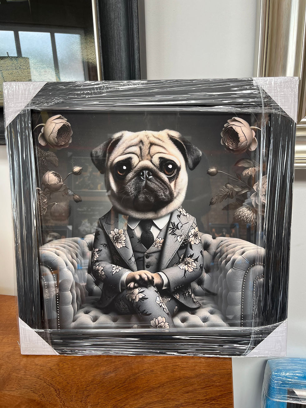 Dapper Pug