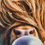 Thumbnail: Highland Cow Canvas Framed Large Picture