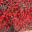 Thumbnail: Blossom Tree Mirror Frame Liquid Art