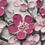 Thumbnail: Petals in Bloom Gunmetal Silver Frame