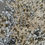 Thumbnail: Ivory Blossom Tree Liquid Art Champagne Frame