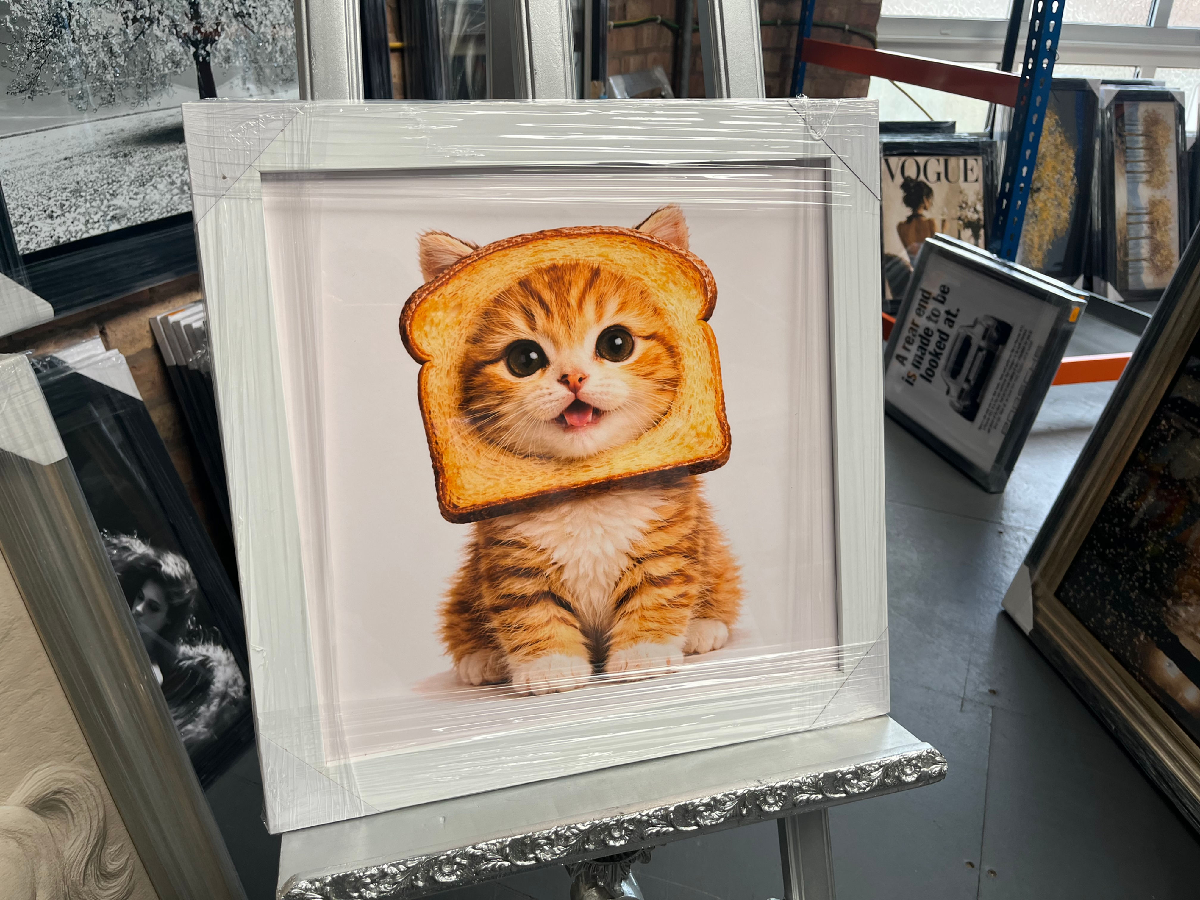 Cat Ginger striped Toast