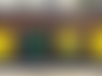 Bringing 2024 into Focus