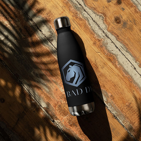 stainless-steel-water-bottle-black-17-oz-front-67a55246e513d.jpg