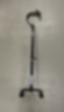 Photo of the Cane