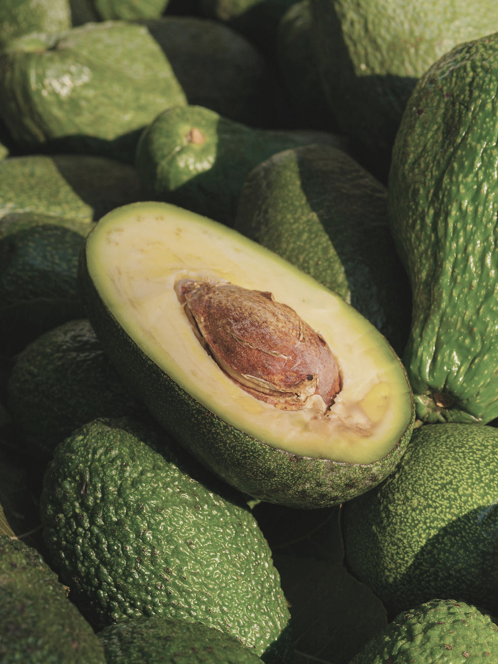 avocado