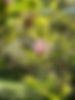 IMG_4338.jpeg