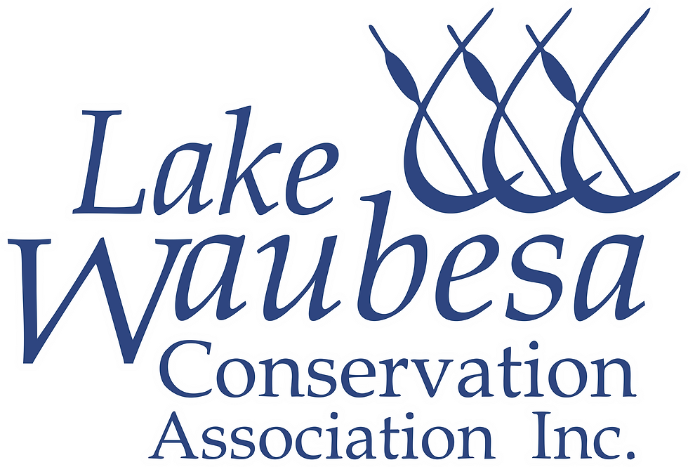 25% of Lake Waubesa Item Sales are donated to the Lake Waubesa Conversation Association