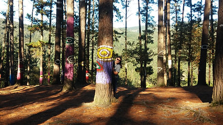 Painted Forest (18).jpg